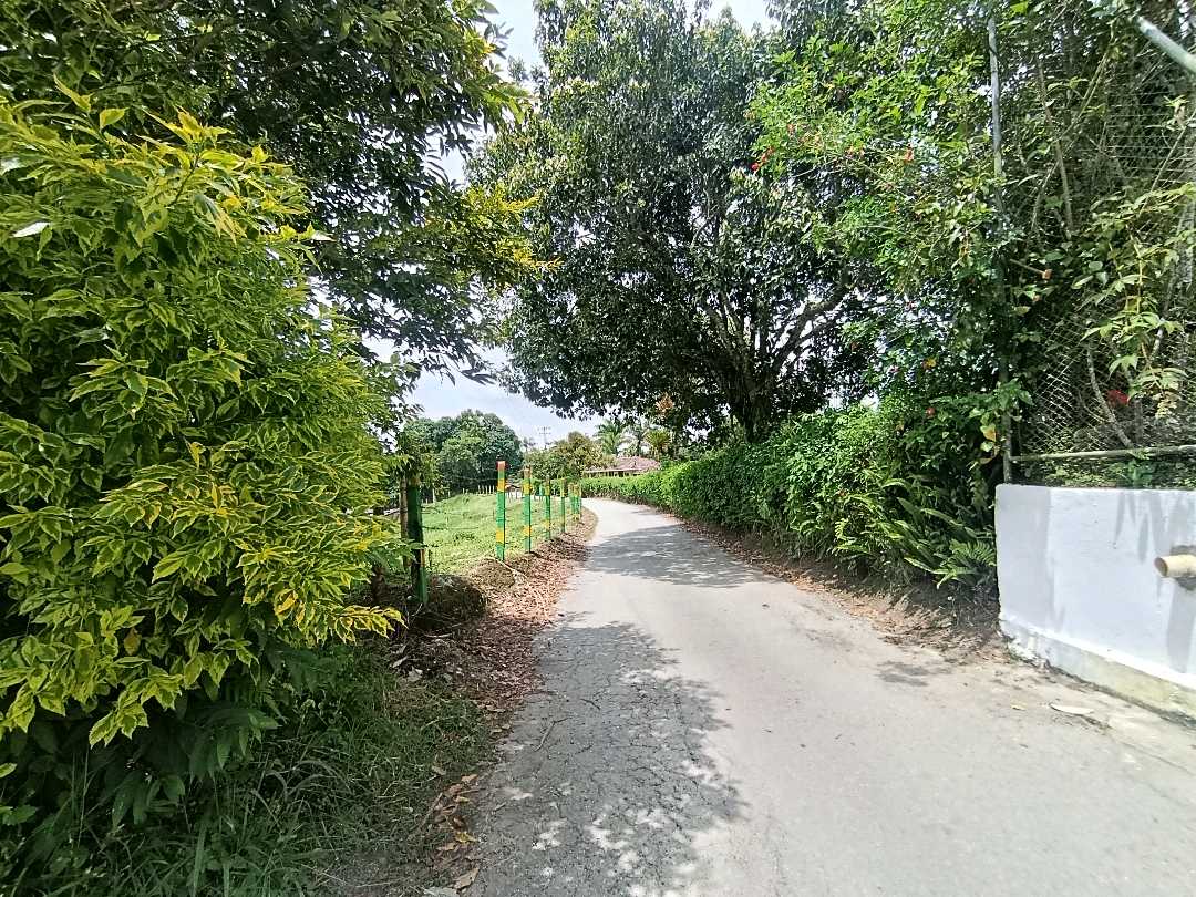 se_arrienda_casa_campestre_nue_1777135717-1073_5022
